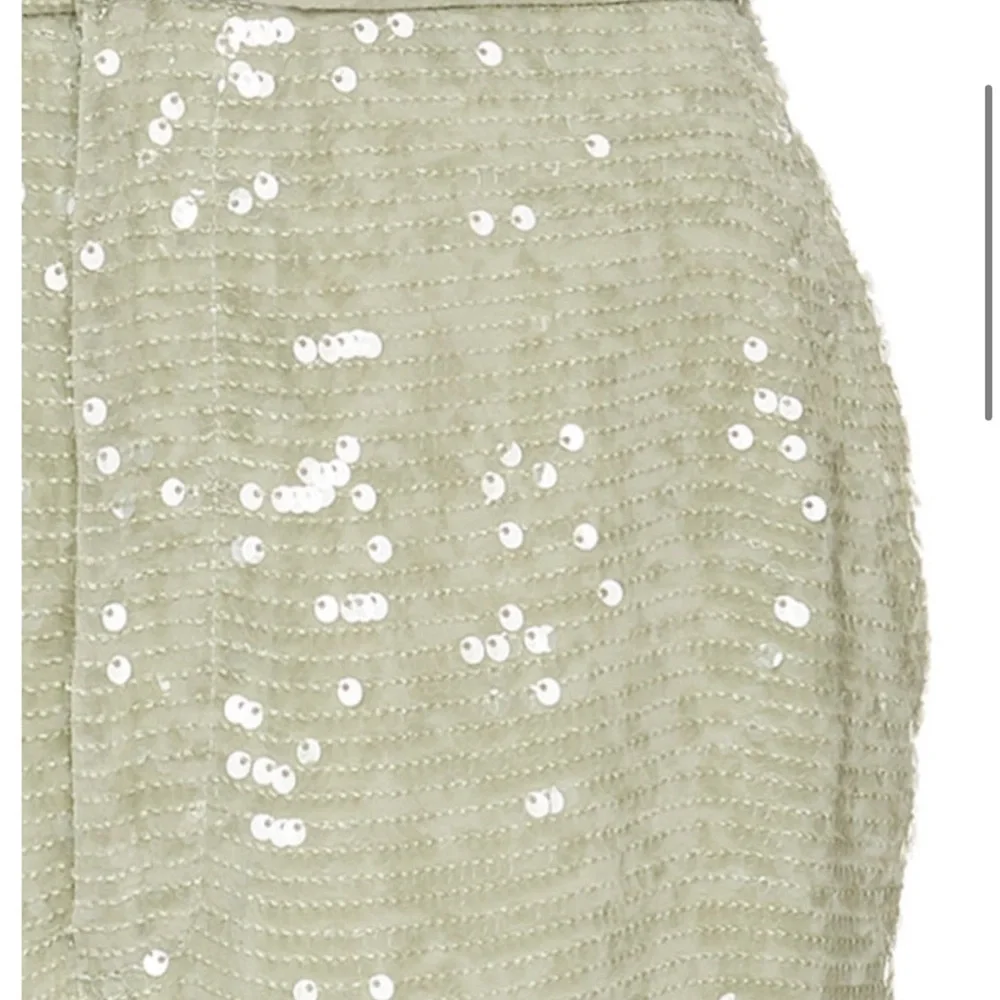 La Pointe Sequin Embellished Light Green (Mint) Pants Size 2